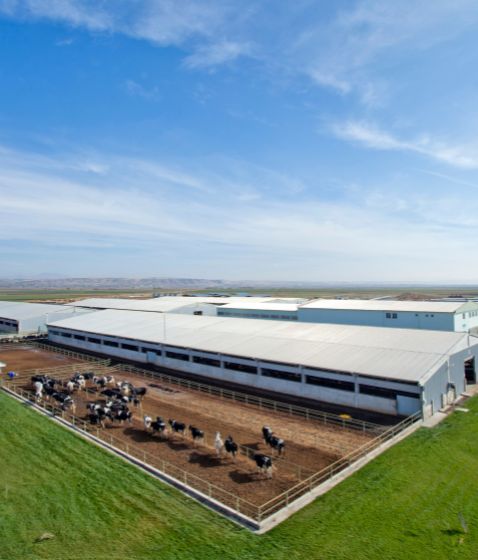 subvenciones agro-ganaderas